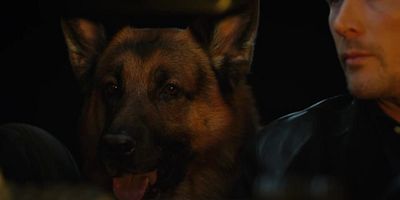 poster de la série Un café d’exception