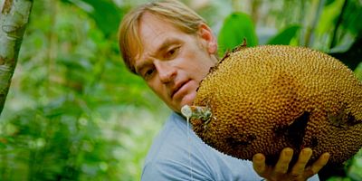 poster de la série Costa Rica