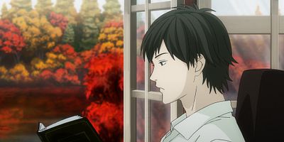 poster de la série Moisissures / La bibliothèque des illusions