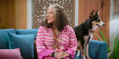 poster de la série Attention au chien