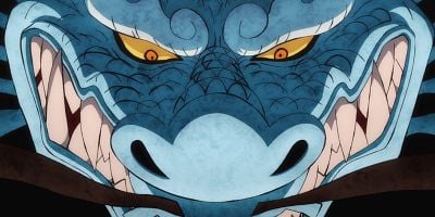 poster de la série Luffy au tapis ? La détermination des survivants !
