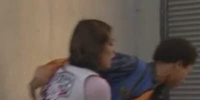 poster de la série L'arrivée des ours