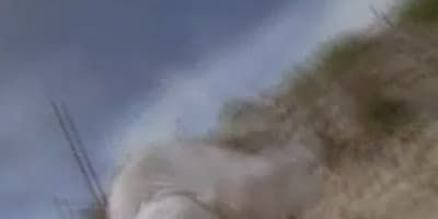 poster de la série Le loup solitaire