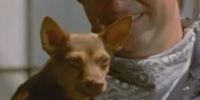 poster de la série L'âme de l'humanité