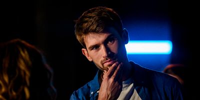 poster de la série Mauvais cygne