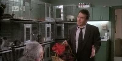 poster de la série Un amour de chat