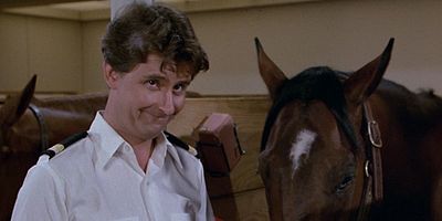 poster de la série The Horse Lover/Secretary to the Stars/Julie's Decision/Gopher and Isaac Buy a Horse/Village People Ride Again