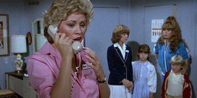 poster de la série Return of the Ninny/Touchdown Twins/Split Personality