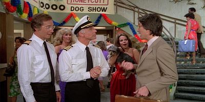 poster de la série The Dog Show: Going to the Dogs/Putting on the Dog/Women's Best Friend/Whose Dog Is It Anyway