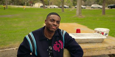 poster de la série La famille Brown