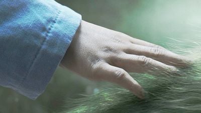 image de la news Ce soir en famille : tout simplement l'une des plus extraordinaires histoires d'amitié des 10 dernières années