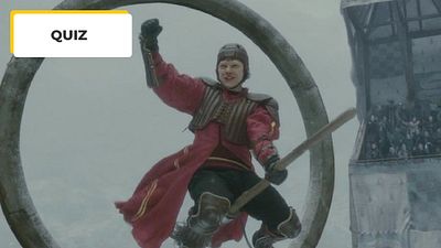 image de la news Quiz Cinéma : tu es le plus grand fan d'Harry Potter si tu fais 8/8 !