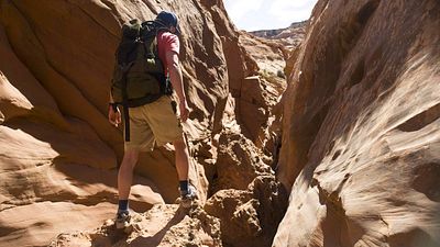 image de la news Il y a 14 ans, ce film inspiré d'une histoire vraie a provoqué des vomissements chez les spectateurs… Mais "on voyait des gens faire un effort pour tenir le coup"