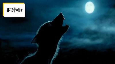 image de la news Harry Potter : ce détail très révélateur du troisième film vous a sans doute échappé