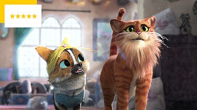image de la news Le Chat Potté 2 est-il le meilleur film de la semaine ?