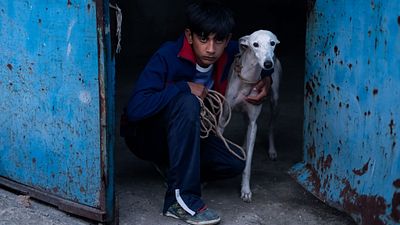 image de la news Ciudad sin sueño : le regard d’un enfant sur un monde qui s’efface