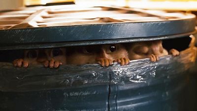 image de la news Ce soir en famille : dans les années 2000, de nombreux enfants ont grandi avec ce film très attachant