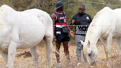 image de la news 434 574 entrées : 2 ans plus tard, les attachants Golo et Ritchie reviennent au cinéma et nous emmènent en vacances
