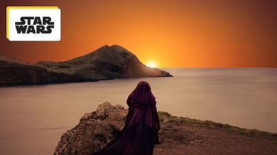 image de la news C'est comme si elle n'avait jamais existé : les produits dérivés de cette série retirés de la vente suite à son annulation