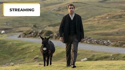 image de la news Nouveau en streaming : vous l'avez connu triomphant dans Miami Vice, découvrez Colin Farrell désarmant aux côtés de son âne dans l'un des films les plus singuliers de la décennie