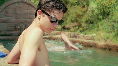 image de la news 10 ans après Call me by Your Name, cette mini-série Netflix adapte un nouveau roman de l'auteur avec une actrice oscarisée au casting !