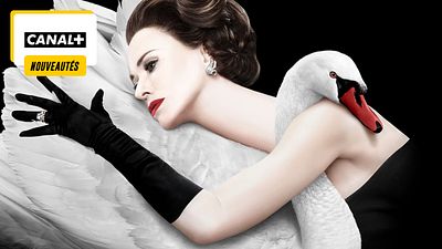 image de la news Six stars iconiques réunies dans une série glamour : que vaut Feud sur CANAL+ ?