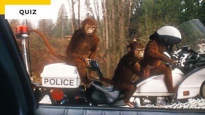 image de la news Quiz cinéma : à quel film appartient cet animal moche en images de synthèse ?