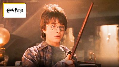 image de la news Harry Potter : cette actrice emblématique de la saga espère que son personnage sera mieux écrit dans la série