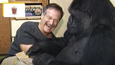 Robin Williams : le jour où la star de Jumanji a redonné le sourire à un gorille