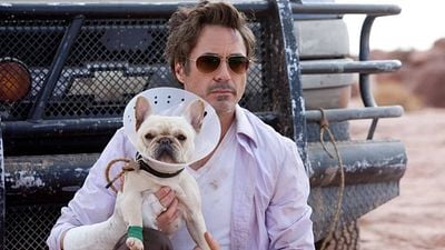 image de la news Ce soir sur Netflix : une comédie avec Robert Downey Jr. par le réalisateur de Very Bad Trip ? Ça existe, et c'est hilarant !