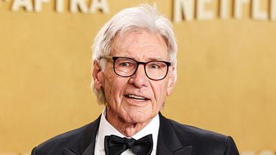 image de la news Netflix : cette série policière cartonne sur la plateforme, et Harrison Ford a bien failli incarner le personnage principal