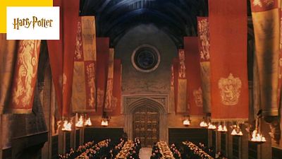 image de la news Harry Potter : vous avez choisi Gryffondor, mais savez-vous vraiment d'où vient le nom de cette maison ?