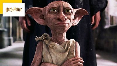 image de la news Harry Potter : pourquoi l'elfe Dobby a fait polémique en Russie ?