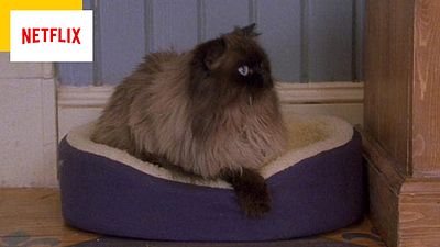 image de la news Ce soir sur Netflix : une légende du cinéma met des coups de pression... pour rire !