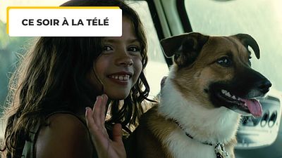 image de la news Ce soir à la télé : noté 4,9 sur 5, c'est l'un des meilleurs films de Clint Eastwood... le plus émouvant aussi