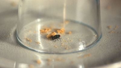 image de la news Brick sur Netflix : ce détail caché qui pourrait emmener le film de science-fiction dans une autre direction