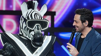 image de la news Mask Singer : quelle star se cache dans le costume du Zèbre ? Voici les indices et les hypothèses...