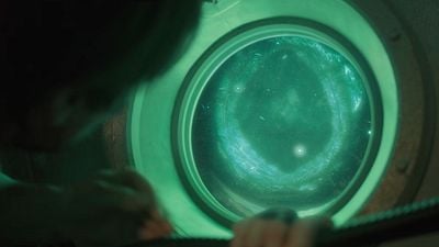 image de la news Netflix : le monstre de cette série top 1 dans 83 pays existe-t-il vraiment ? Une experte répond !