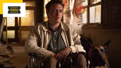 image de la news DogMan : 15 dresseurs et des dizaines de chiens... Comment a été géré le travail avec les animaux ?