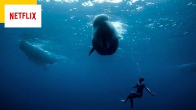 "J'ai été complètement bouleversé" : ce documentaire Netflix cartonne et fait pleurer les abonnés avec son histoire vraie tragique