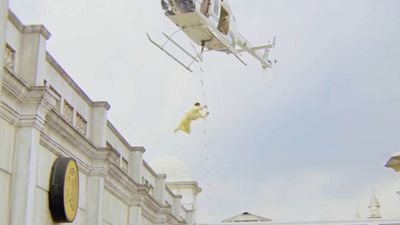image de la news C'est l'une des meilleures cascades du cinéma : depuis 34 ans, elle donne le vertige à des millions de fans