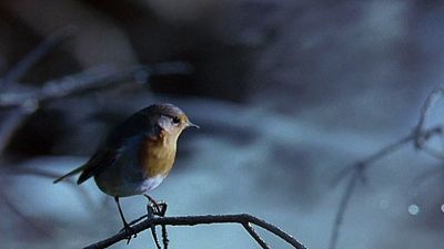 image de la news 25 ans après, la scène d'ouverture de ce film épique est toujours d'une rare puissance