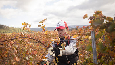image de la news L’amour est dans le pré 2024 (portrait) : qui est Ludovic, ce viticulteur passionné de danse et originaire d'Occitanie ?