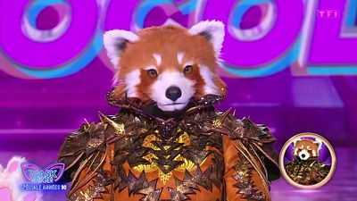 image de la news Mask Singer 2025 : le Panda roux démasqué, qui se cachait derrière ? "Je suis dégoutée, j'ai fait une presta de fou"