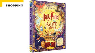 image de la news Harry Potter : c’est nouveau et c’est officiel, découvrez Le Guide Ultime de la saga !