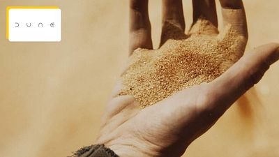 image de la news 42 000 dollars par minute à l'écran : l'impressionnant salaire d'une des stars de Dune