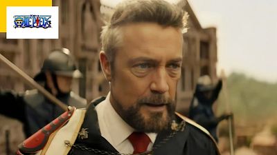 image de la news Garp dans One Piece : de 300 à Le Choc des Titans, vous avez vu l'acteur dans plein de films sans retenir son nom !