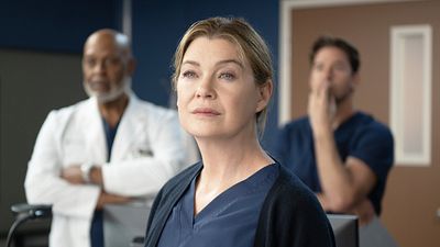 image de la news Grey's Anatomy sur TF1 : y aura-t-il une saison 22 ?