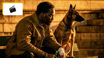 image de la news 1 milliard de dollars : l'une des meilleures sagas d'action reviendra-t-elle bientôt au cinéma ?