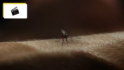 image de la news L'acteur de ce personnage culte revient pour une troisième série et c'était vraiment pas la peine